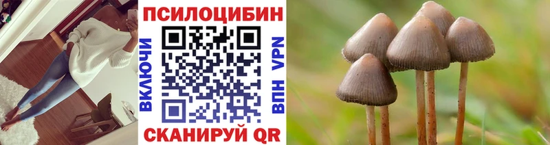 Псилоцибиновые грибы Psilocybine cubensis  Купить закладки  Наро-Фоминск 